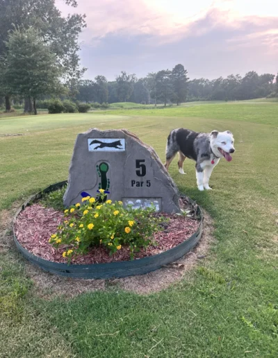 foxwood country club gallery 2026 08